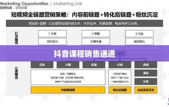 抖音课程销售通道与策略深度探讨