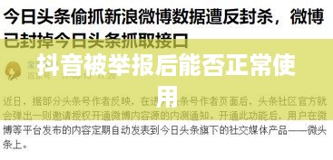 抖音被举报后能否正常使用？探究背后的真相与应对策略