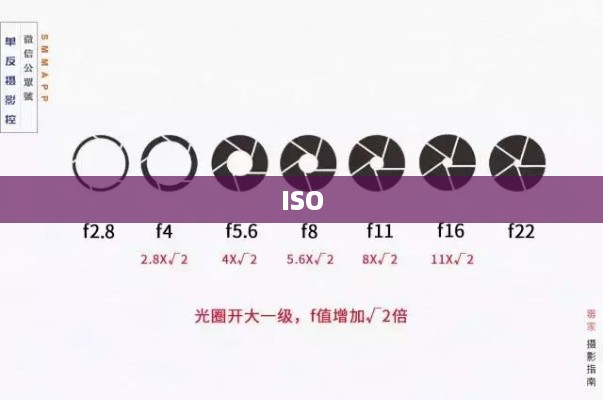 相机参数中的ISO、光圈和快门速度详解