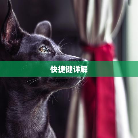 电脑快速锁屏快捷键详解