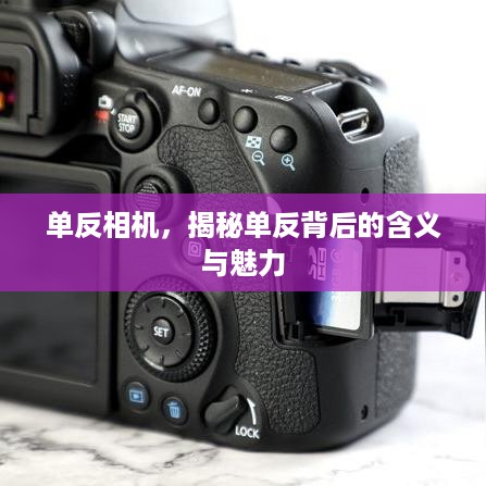 单反相机，揭秘单反背后的含义与魅力