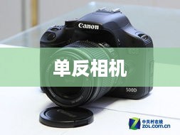 单反相机与数码相机，深入解析二者的区别