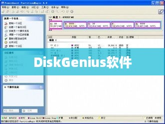 DiskGenius软件中文设置方法与步骤详解  第1张