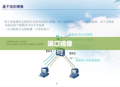 揭秘端口镜像，概念、原理与应用