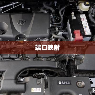 端口镜像与端口映射，网络技术的两大核心概念解析