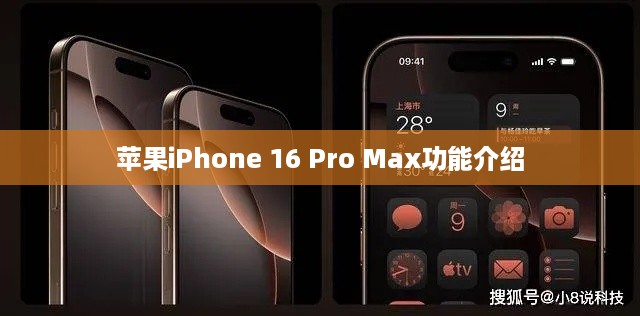 苹果iPhone 16 Pro Max功能介绍，科技与艺术的完美结合  第1张