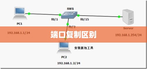 端口镜像与端口复制的区别