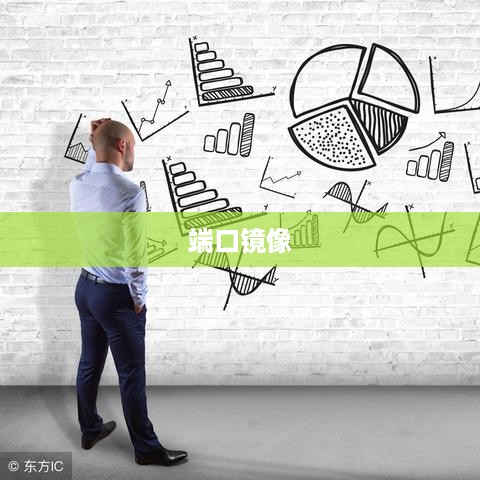 端口镜像的应用范畴，从网络监控到安全防护