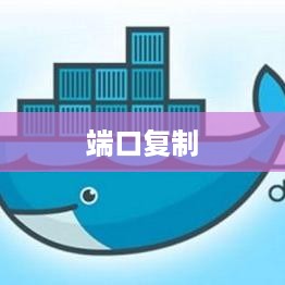 端口复制与端口镜像，网络技术的两大关键概念及其区别