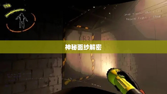 揭秘95059电话号码的神秘面纱