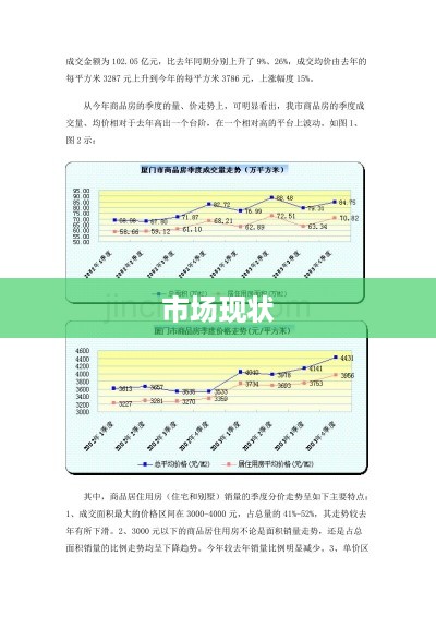 市场现状