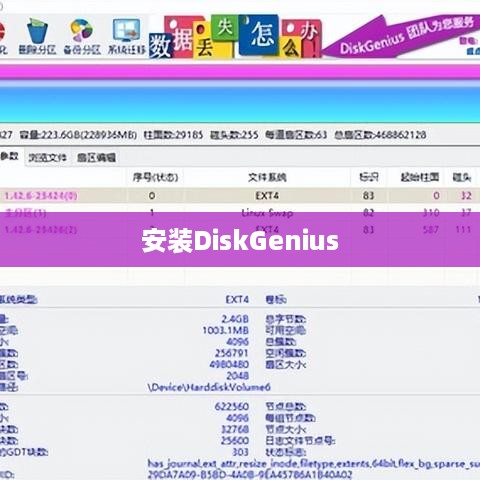 安装DiskGenius