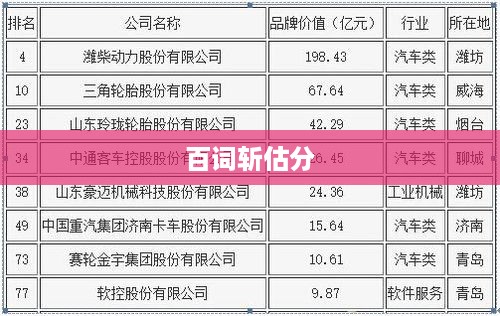 百词斩估分，深度解析评估标准与依据
