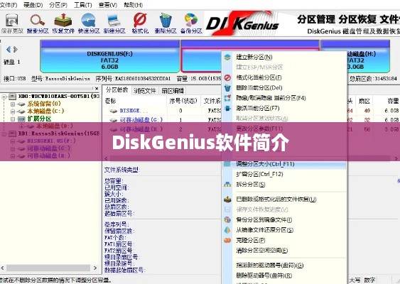 DiskGenius软件简介