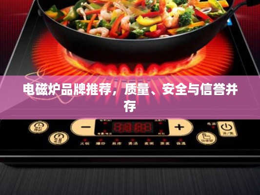 电磁炉品牌推荐，质量、安全与信誉并存