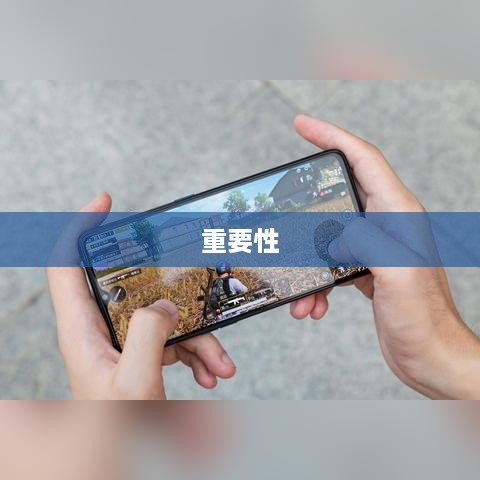 待机的含义及其重要性