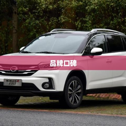 品牌口碑