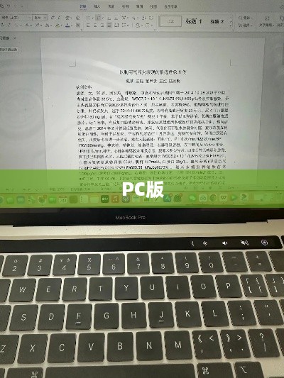 PC版是什么意思