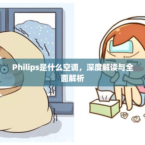 Philips是什么空调，深度解读与全面解析