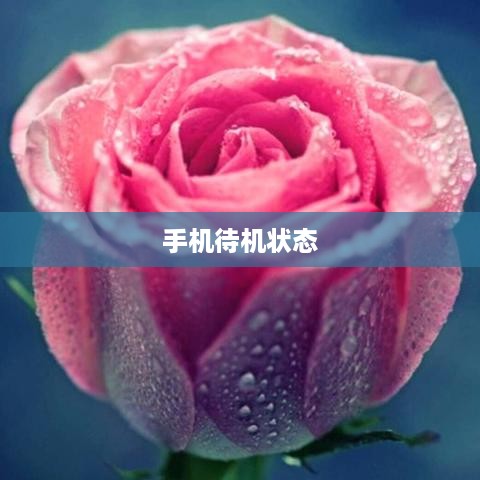 手机待机状态，深度解析与实际应用