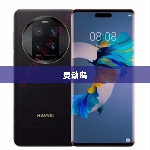 灵动岛的隐藏功能深度解析
