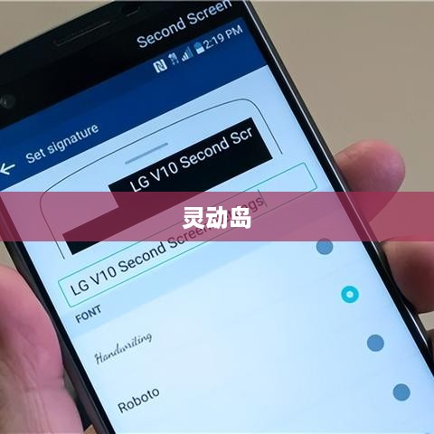 灵动岛的隐藏通知功能，设置指南与最佳实践