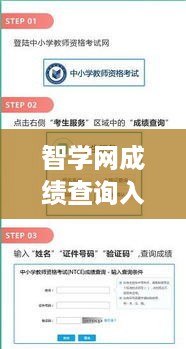 智学网成绩查询入口，便捷、高效的学生成绩管理平台