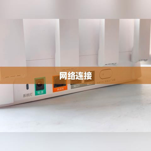 路由器与光猫，网络接入的必备要素