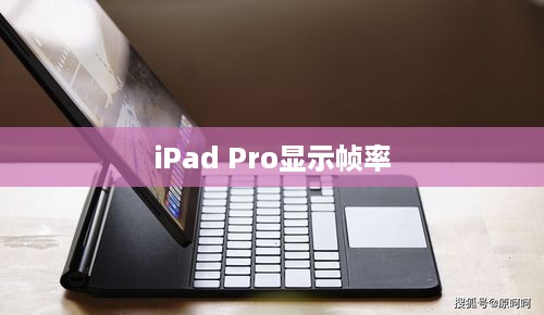 iPad Pro如何显示帧率，深入解析与操作指南