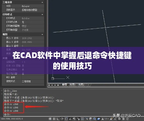 在CAD软件中掌握后退命令快捷键的使用技巧