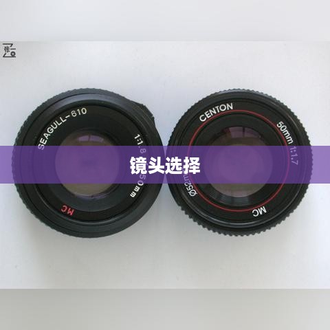 微单相机日常镜头怎么选