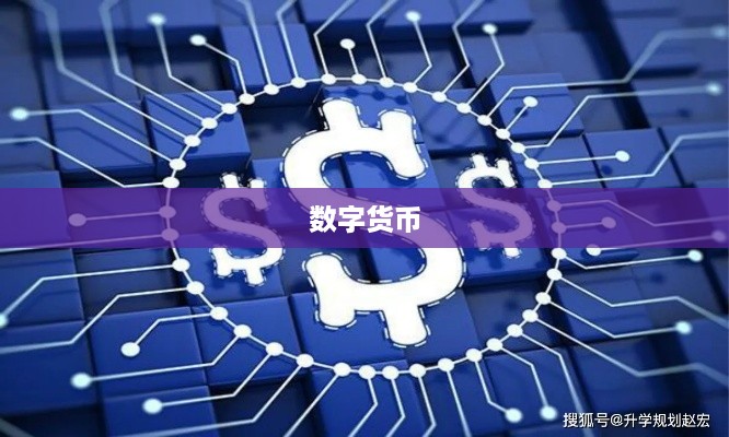中国唯一认可的虚拟币，数字货币的崛起与挑战