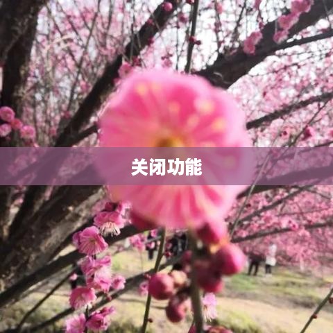 如何关闭手机百度时事热点功能