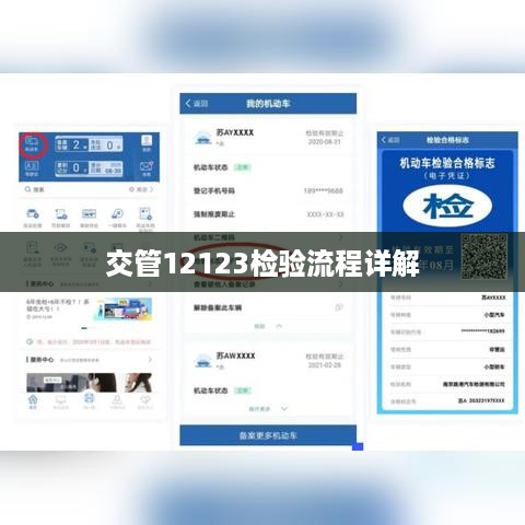 交管12123检验流程详解