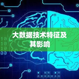 大数据技术特征及其影响