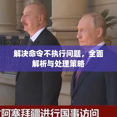解决命令不执行问题，全面解析与处理策略  第1张