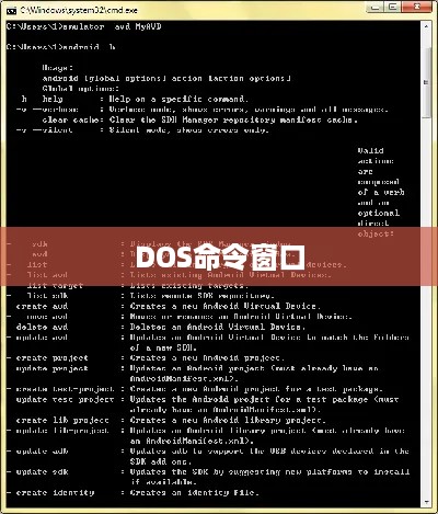 打开DOS命令窗口