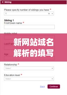 新网站域名解析的填写指南