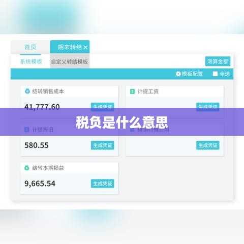 税负是什么意思