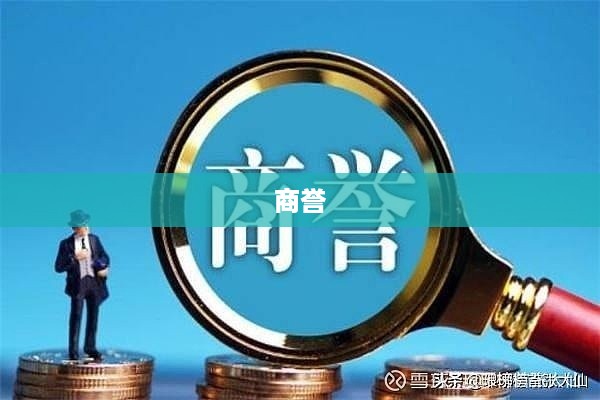商誉是什么意思