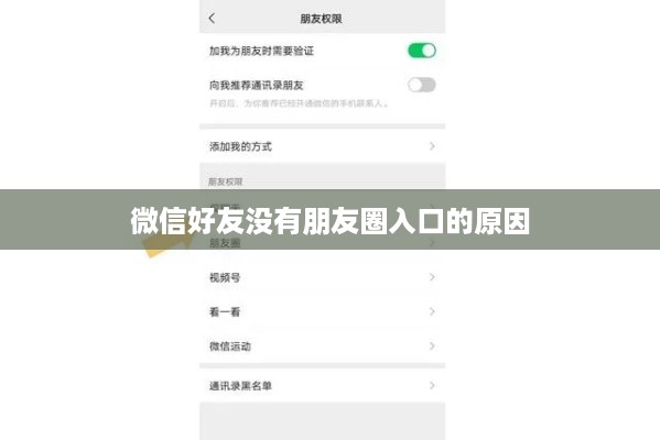 微信好友没有朋友圈入口，原因与解决方案探讨