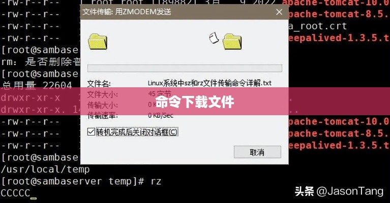 Linux系统下如何使用命令下载文件