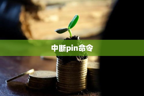如何中断pin命令，方法与注意事项