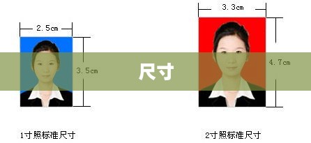 一寸照片的尺寸