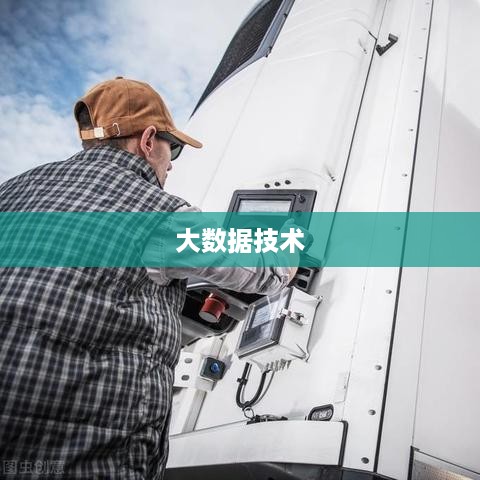 大数据技术及其应用领域，深度解析与前瞻
