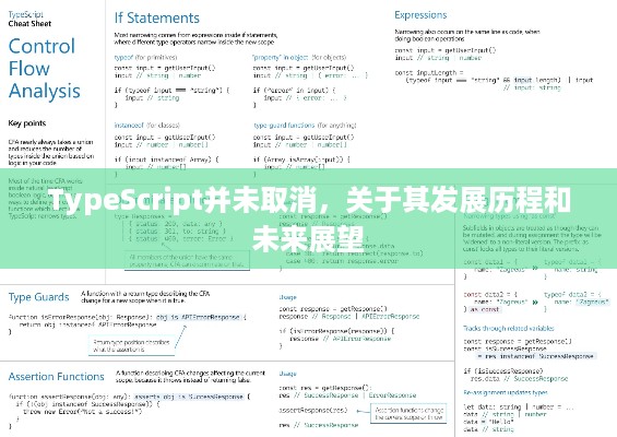 TypeScript并未取消，关于其发展历程和未来展望