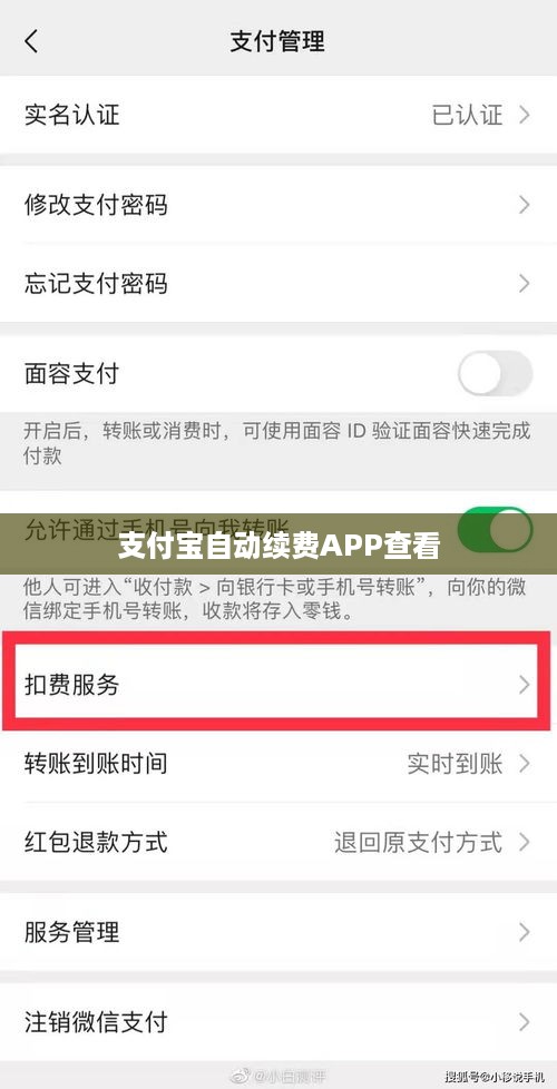 支付宝如何查看自动续费的APP，操作指南与注意事项