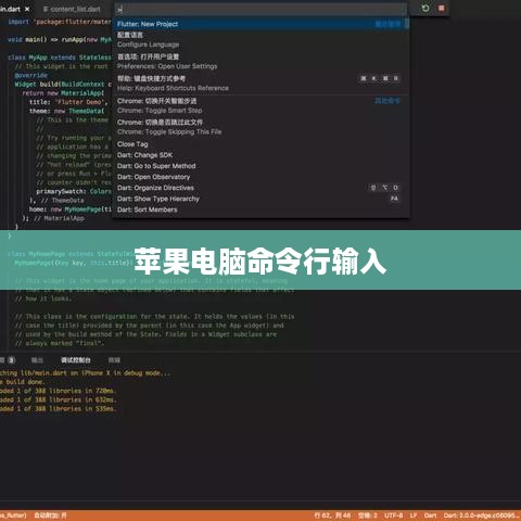 苹果电脑如何输入命令行，初学者指南