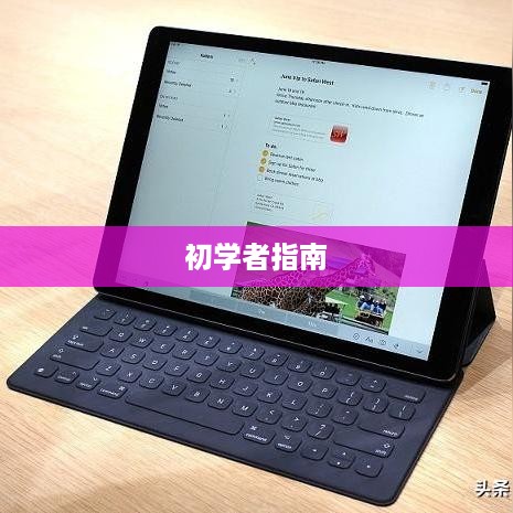 Mac电脑如何打开终端命令，初学者指南