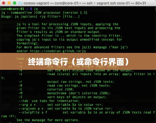 Linux中如何回到终端命令行